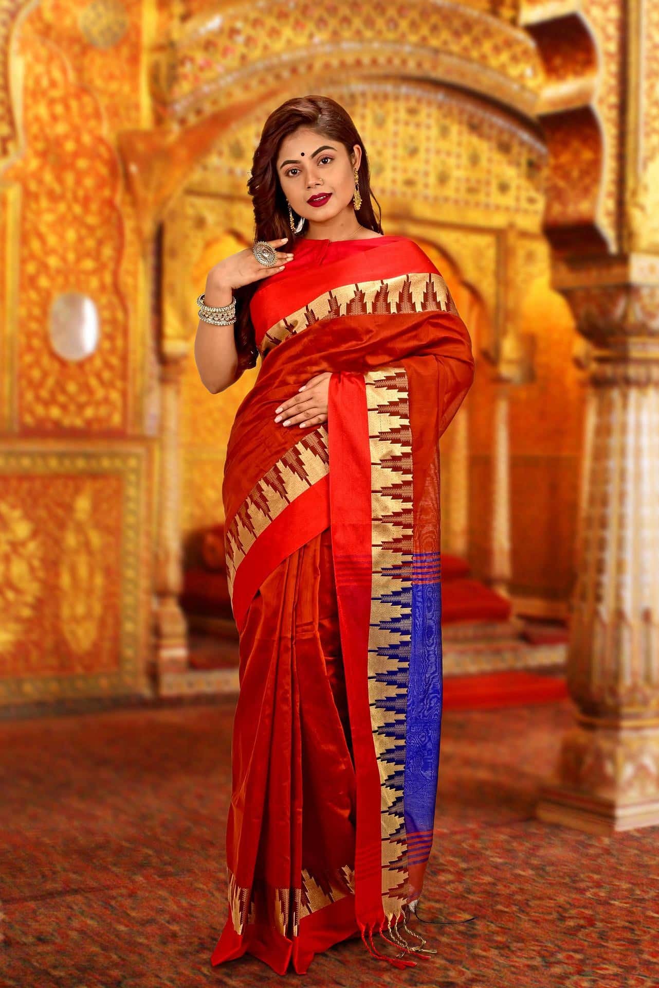 Stylish Girl Model Posing In Saree PixaHive, 43% OFF